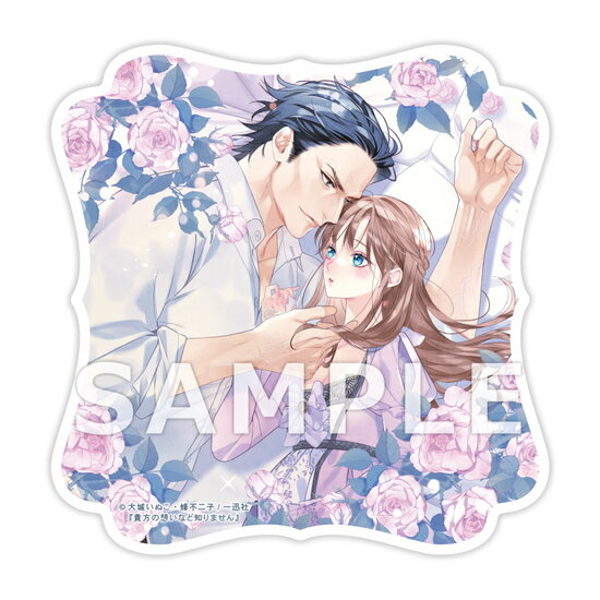 【有償特典付き】貴方の想いなど知りません2