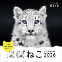 2026 ほぼねこカレンダー