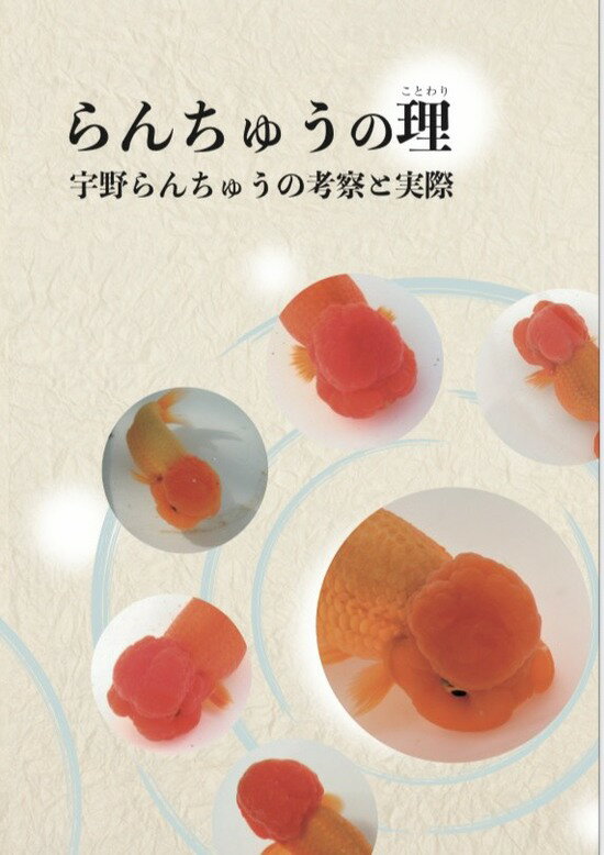 らんちゅうの理 宇野らんちゅうの考察と実際