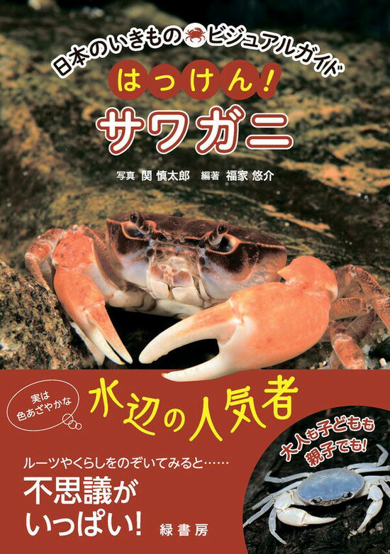 日本のいきものビジュアルガイド　はっけん！　サワガニ shosen-10040639 書泉オンライン楽天市場店 パッケージ画像