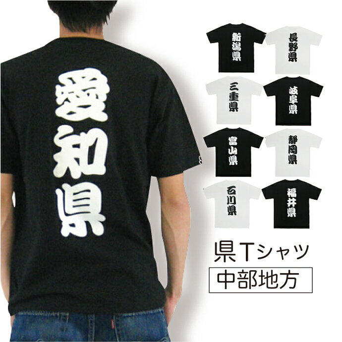 コロナ 支援 応援 値下げ 【メール便対応】イベント・お祭り・学園祭・文化祭・コンパ・サークルに♪ご当地Tシャツ・地元・県Tシャツ☆中部地方[MT][B]【SHOT ショット】のサムネイル