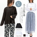 カットソー Tシャツ ロンT シースルー シアーカットソー インナー クルーネック 長袖 レイヤード ショート丈 クロップド丈 レギュラー丈 選べる2丈 伸縮性 ゆったり レディース 送料無料 SHOT ショット