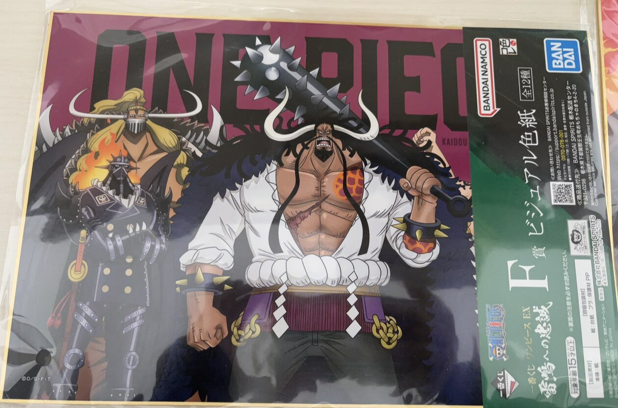 Rakuten - 一番くじ ワンピース 雷鳴への忠誠 ビジュアル色紙 カイドウ