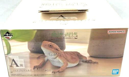 楽天市場】フトアゴヒゲトカゲ フィギュアの通販