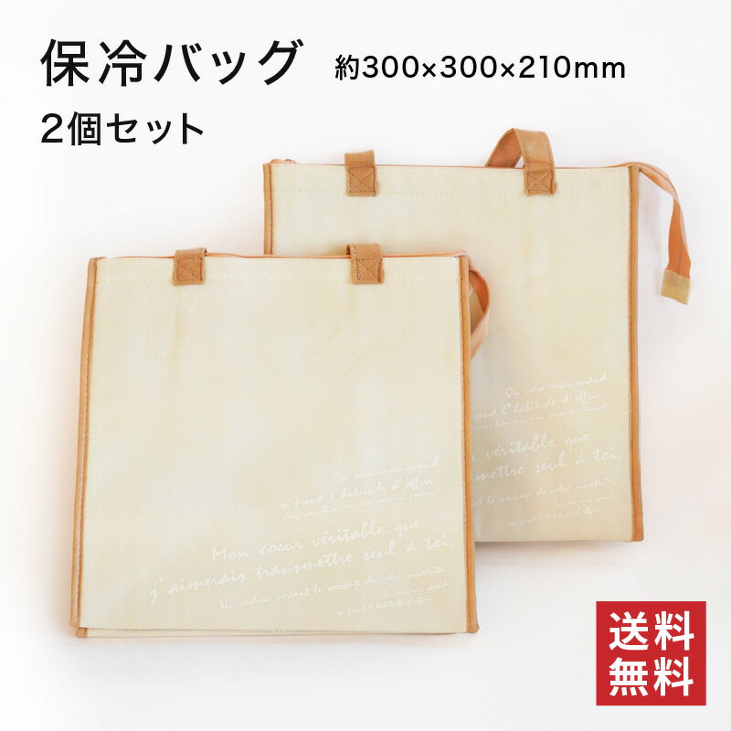 樂天商城 - 【送料無料】 保冷バッグ 2袋セット [ クールバッグ 約300×300mm×210（マチ） ]