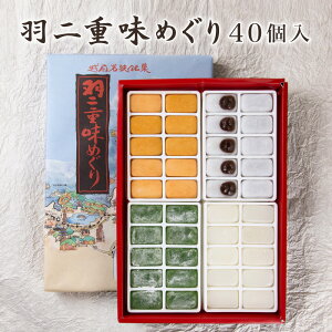 福井銘菓 羽二重味めぐり 40個入り(白(餡入)+白+よもぎ+きなこ各10個)　[羽二重餅/和菓子/スイーツ/ギフト/贈り物/福井土産]