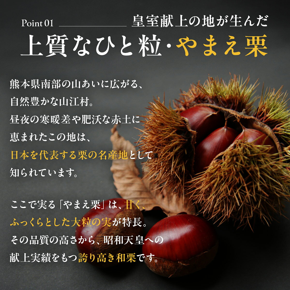 ＼敬老の日／ やまえ堂 栗渋皮煮 1袋5粒入り 2袋セット 4袋セット やまえ栗 国産 熊本県産和栗使用 無添加 無着色 和菓子 和スイーツ shoujiya-10000020 千鶴堂 produced by 庄司屋 サンプル画像2
