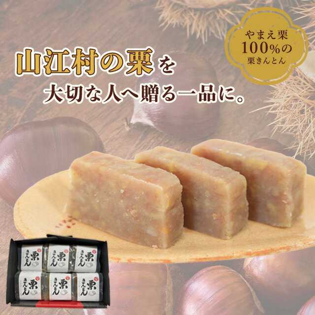 お年賀 やまえ堂 栗きんとん ハーフサイズ6個セット ギフト箱入り 熊本県山江村産 やまえ栗100％使用 国産和栗 無添加 無着色 和菓子 和スイーツ ハーフサイズ 手土産 お取り寄せ