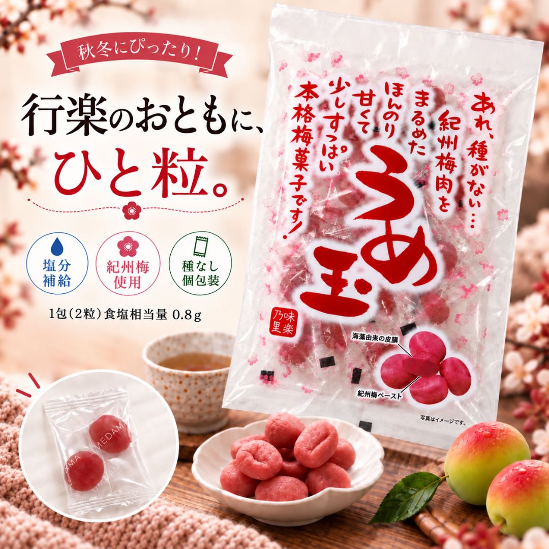 千年屋 味楽乃里 うめ玉 紀州梅菓子 個包装 2袋セット 6袋セット 12袋セット 種なし 行楽 紅葉 ハイキング お茶請け ごはんのお供 常備 秋ギフト お彼岸 梅おやつ 梅加工菓子 和歌山県産梅 大容量 送料無料 敬老の日 祖父母 プレゼント