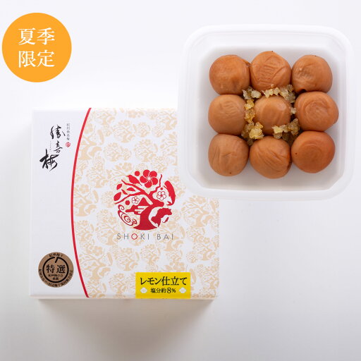 夏季限定レモン仕立て 「心くばり」(140g)勝僖梅 しょうきばい 期間限定 贈答 手土産 挨拶 お中元 法要 お返し 夏季限定レモン仕立て 「心くばり」(140g)勝僖梅 しょうきばい 期間限定 贈答 手土産 挨拶 お中元 法要 お返し