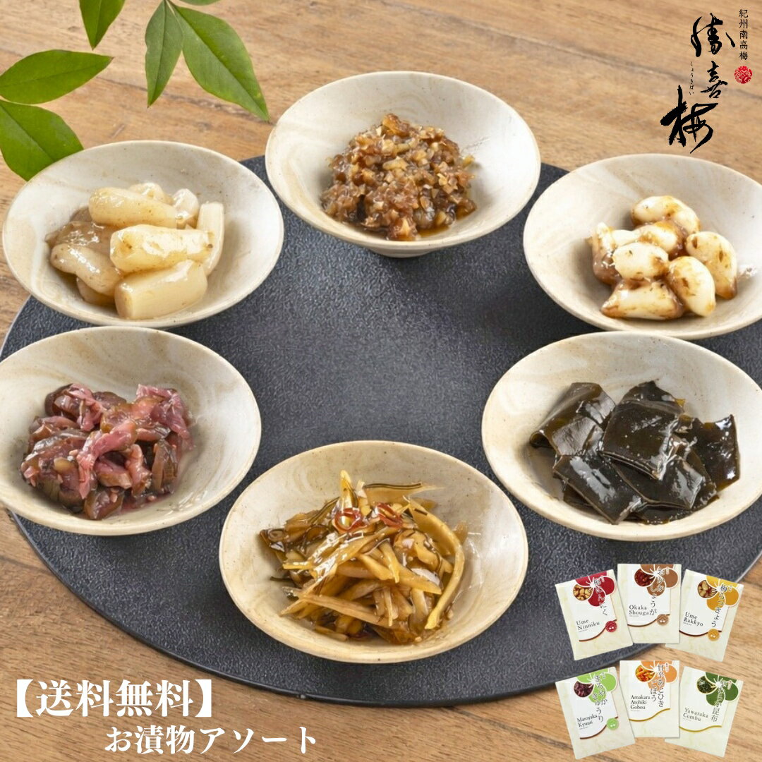 【送料無料】お漬物アソート■お漬物6種から2点 勝僖梅 勝喜梅 しょうきばい ショウキバイ きゅうり しょうが 梅にんにく らっきょう 昆布 ご飯のお供 ネコポス