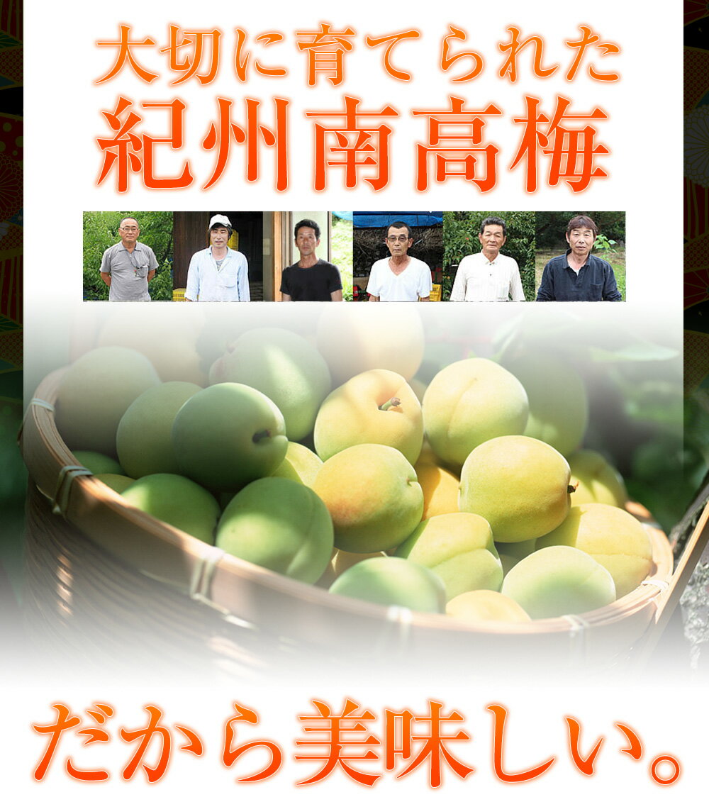 はちみつ仕立てエコパック (L)1000g■ご家庭用簡易パッケージ 梅干 ご褒美 お取り寄せ 家庭用