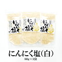 にんにく塩(白) スタンドパック 80g×3袋 送料無料 岩塩 フランス産 ガーリック にんにく 調味塩 調理 お肉 炒め物 料理 万能調味料