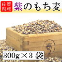 送料無料【国産】紫のもち麦【300g×3袋】【九州金のだし3包付き】ダイエット 佐賀県産 ポリフェノール 大容量 国産 もち麦