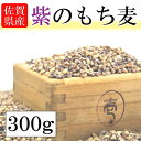 国産 紫のもち麦300 送料無料 国産 無添加 ポイント消化 ポイント消費 佐賀県産 ダイエット もち麦 紫のもち麦 紫紺のもち麦