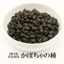 【エントリーでポイント10倍最大300円Offクーポン配布中】 かぼちゃの種 竹炭 送料無料 かぼちゃのたね 菓子 おかし すなっく スナック 珍味 お得 お菓...