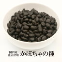 かぼちゃの種 竹炭 送料無料 かぼち