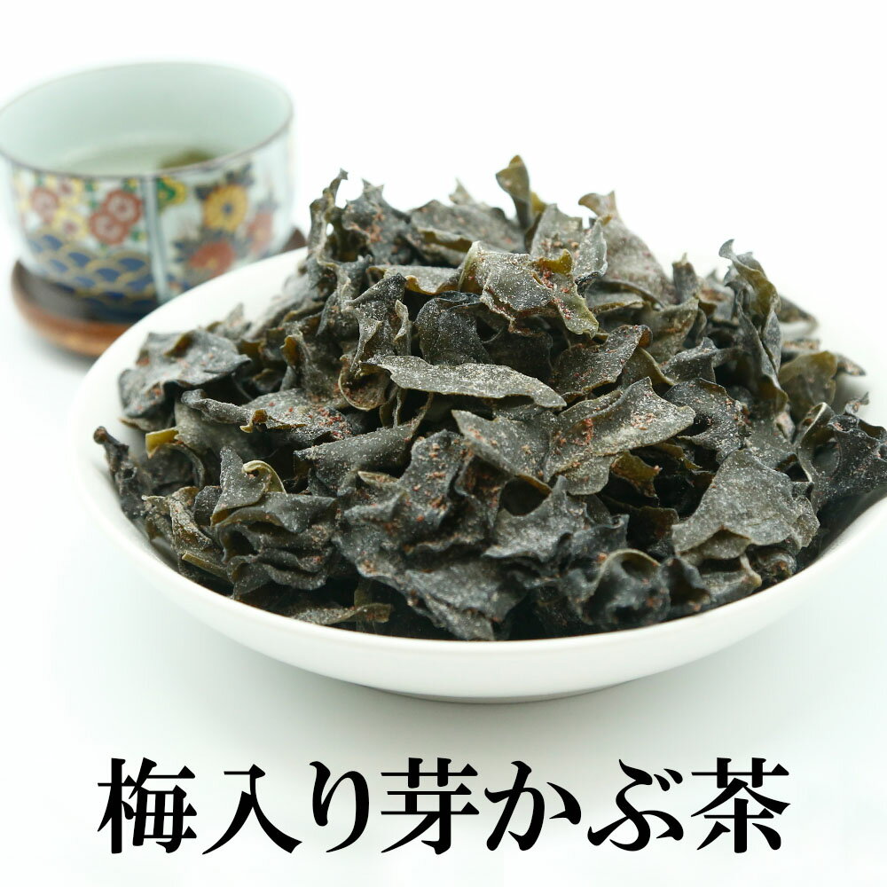 梅入り芽かぶ茶 送料無料 めかぶ茶 梅 メカブ茶 芽かぶ茶 お徳用 めかぶ めかぶスープ お茶 茶 梅めかぶ茶