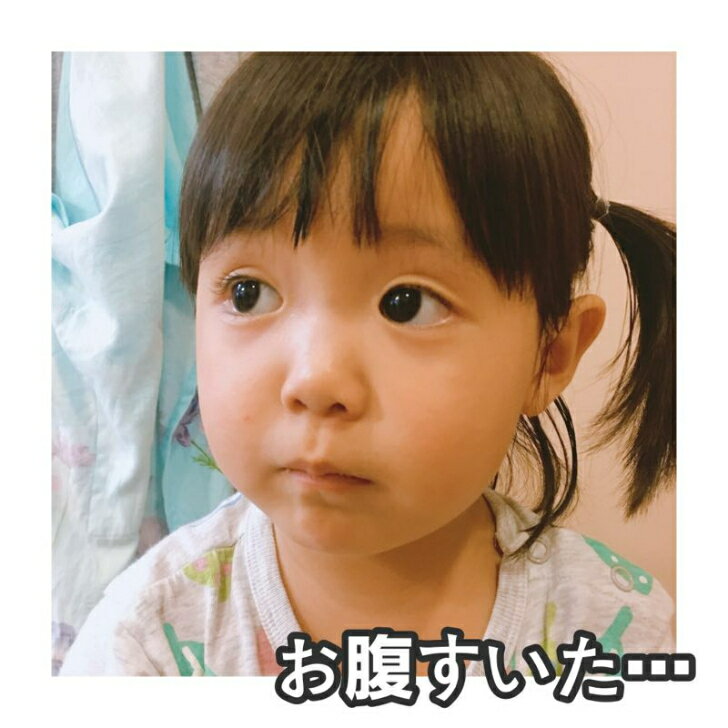 �־ϵ������׼������������� 10�����ꡡ��������?�� ���������̾ʪ����ڤ��Ҥ�ʪ