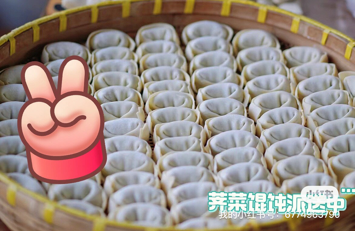 �־ϵ������ס�����ʥ���������󥿥�8�����ꡡ鵺���������