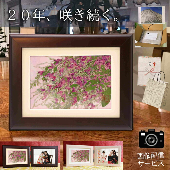 ＼20年咲き続く押し花／ 写真立て 2面 2l 2枚 押し花