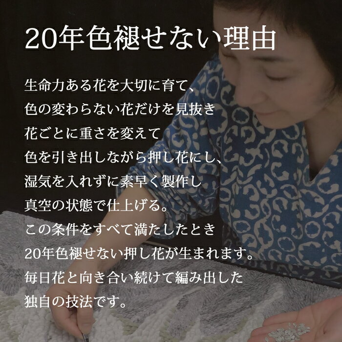 紫 ブリザード|80歳 祝 フォトフレーム ブリザード フラワー 写真 立て ブリザードフラワ-壁かけ インテリア ケース 壁掛け 名入れ プリザーブドフラワー フレーム 玄関 紫 写真立て プレゼント 定年退職 母 ペーパーフラワー 傘寿 祝い プレゼント 入院 お見舞い 春