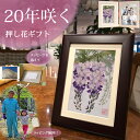 お花 写真 退職祝 | 退職祝い プレゼント 女性 定年退職 祝い 70 代 の 60代 退職プレゼント お祝い 誕生日プレゼント 祝い 誕生日 母 母親 壁掛...