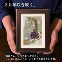 押し花アート 祖母 プレゼント 額 アート ギフト プリザーブドフラワー 額縁 絵 壁掛け 誕生日 母 花の絵 誕生日プレゼント 壁掛け 花 女性 お祝い 祝い 母親 絵画 ドライフラワー 和紙 お悔やみ 女性へのプレゼント 妻プレゼント 小さい絵(4)