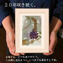【楽天スーパーSALE 50%OFF】80代母親へのプレゼント父の日 花 80代 プレゼント 母 の 日 ギフト 父の日花 | 父の日入院中 誕生日プレゼント ...