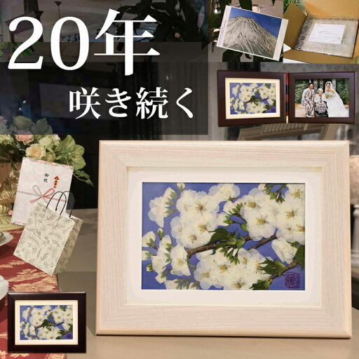 押し花 ★大島桜 (花言葉:優れた美人・心の美しさ)■ブリザードフラワー喜寿プレゼントプリザードフラワー プリザーブドフラワー 額 プレゼント 祖母 写真立て 遺影 l 2l おしゃれ 卒寿 ドライフラワー 庄村昌子 桜 写真 ギフト 押し花の壁掛け 押し花作品 販売 母の日 花 押し花 ★大島桜 (花言葉:優れた美人・心の美しさ)■ブリザードフラワー喜寿プレゼントプリザードフラワー プリザーブドフラワー 額 プレゼント 祖母 写真立て 遺影 l 2l おしゃれ 卒寿 ドライフラワー 庄村昌子 桜 写真 ギフト 押し花の壁掛け 押し花作品 販売 母の日 花