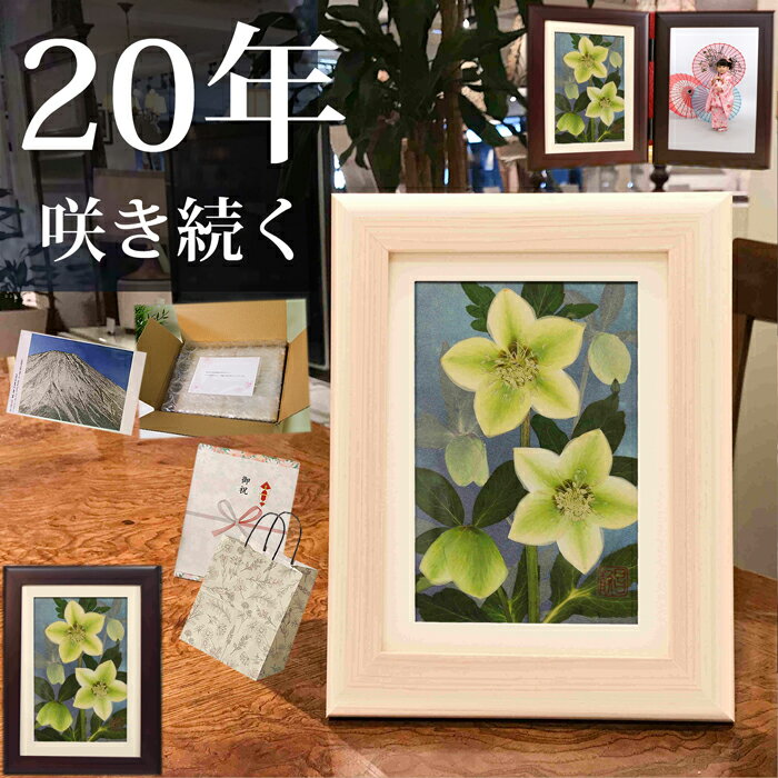 楽天市場】クリスマスローズ 押し花の通販