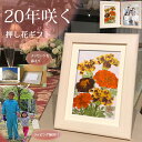 喜寿祝い 女性 喜寿 プレゼント 77歳 77 歳のお祝い 喜寿 押し花|おばあちゃん 誕生日 ギフト 花 置物|90歳 お祝い|の 贈り物 嫁 お母さん 誕生...