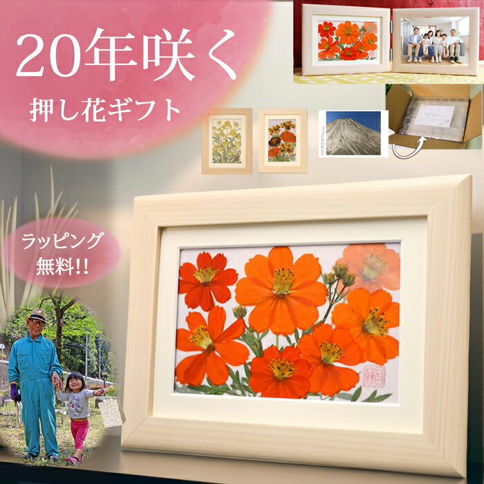 85歳 プレゼント|祖母 プレゼント 90代 100歳 お祝い カード 101 歳 80 歳 女性 85 歳 おばあちゃん 誕生日 プリザーブドフラワー 写真立...