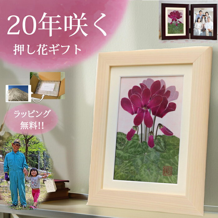 ֻ1(ָա嫡)ˤ   ץ쥼 77 Ŵ ˤ  Ŵˤ  70 ץ쥼 Ŵˤ  8...