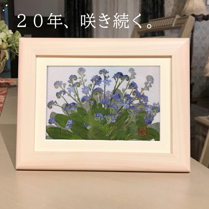 ジャンル押し花 押し花作品 押し花アート 押し花額 押し花額作品 花ギフト 押し花 額絵 花の絵寸法フレームタイプ ※置く・壁掛け どちらでも可能 ※裏に壁掛け用のひもがついております。 【額寸法】218mm×168mm×18mm額の材質ヒノキ原産国■日本製 ※自家農園で育てた植物を使用し、自社のアトリエで作家が1点1点丁寧に製作しております。同じ花でもそれぞれ個性があるため、同じデザインではございますが、掲載しているお写真と全く同じ作品というわけではございませんのでご了承くださいませ。メディア2013年 NHKラジオ深夜便「明日へのことば」出演等無料サービス名入れ 花言葉カード メッセージカード メッセージ 代筆 ラッピング 熨斗 送料無料 (全国どこでも・全商品)納期あす楽(12時までのご注文で即日発送致します。)あす楽以外のご注文は1〜2日後発送となります。発送宅急便(ヤマト運輸でお届け致します。)即日発送。日時指定可。注意事項■飾る場所に注意してください。 1-日当たりの良い場所は避けてください。 ：絵画等も一緒ですが、直射日光・紫外線により変色することも考えられます。窓から離し、紫外線の当たりにくい場所に飾ってください。 ■商品の撮影には最大限注意を払っておりますが、閲覧時のモニター環境によりましては実際の商品と若干違うお色味に映ることもございます。ご了承くださいませ。販売者(連絡先)有限会社　美宝エンタープライズ 押し花アートギフト庄村昌子の世界 代表者：山内昌子 店舗運営責任者：山内真実 店舗セキュリティ責任者：山内真実 店舗連絡先：shouko@shop.rakuten.co.jp 電話番号：044-798-3223 ※10：00〜17：00まで ※当店は出店6年目を迎えました。ご注文・お問い合わせ・発送はすべて山内真実が承ります。疑問点・ご要望等ございましたらお気軽に山内までご連絡くださいませ。作品名：『忘れな草』』開花時期：4〜6月頃 花言葉：真実の愛・真実の友情 販売価格：8,000円(送料無料・税込) ※額込みのお値段です。 ”自然そのものの美しさ”を表現した押し花作品です。花も葉っぱも蕾もすべて本物です。 1600坪の農園をもち、花を育て、独自の方法で真空状態にして作品をつくりあげる事で、20年以上も綺麗に咲き続ける押し花を確立。『いつもありがとう』『元気でいてね』などの気持ちとともに大切な方のもとで、ずっと綺麗に咲き続けます。 【額サイズ】218mm×168mm×18mm 【額の材質】ヒノキ ※額は、きめ細やかで温かみのある手触り感の『ヒノキ』の額を使用しております。 作品をよく見てみると、薄く絵のように見えるところがございますが、これは絵ではございません。本物の枝や葉っぱ、お花が入っております。薄い素材の後ろにもう1つ作品を重ねる事で、自然に咲いているような遠近感のある作品を作り上げております。 最後に、ガラスを載せて真空状態にして仕上げております。作品の中には接着材など化学物質は使いません。茎、葉っぱ、お花をそれぞれ額の中で咲かせていき、最後にガラスを載せ、周りを接着して真空の状態にすることで形をとどめております。植物が入っている空間には、とにかく自然の状態にこだわります。 【忘れな草の開花の様子】 (開花時期：4〜6月頃) 花言葉：真実の愛・真実の友情 4月〜6月頃に開花するヨーロッパ原産の忘れな草。春になると、可愛い小柄な花を下から上へ向かって、らせん状にまくようにして咲かせます。フランスでは昔から友情を表す花として親しまれてきたことから、『真実の愛・真実の友情』という花言葉がつけられています。花も葉っぱも自然のままに、心を込めて額に入れた押し花作品です。【花言葉カードをお入れ致します。】 作品にはそれぞれのお花の花言葉カードをお入れ致します。その他、下記の資料も同梱致します。 ・押し花作家庄村昌子のプロフィール ・庄村昌子の押し花とは ・飾るときのご注意事項 ※ギフト直接発送も承っております。※作品の中には、お値段のわかるものは一切入りませんのでご安心くださいませ。【インテリアの様子】 【作家紹介】春の自家農園の様子。押し花にするほとんどの花は1600坪の自家農園で育てています。瑞々しい押し花を作り上げるには、とにかく花の生命力の強さと、鮮度が命。お花を摘んで数秒で和紙のベットの中へ。花たちは押し花になったこと、気づいてないかもしれないくらいのスピードです。重石を載せて水分を抜いていきます。この工程、シンプルだけど奥深い。押しすぎると薄くてペラペラ透明の花に色が抜けていき、軽すぎると押している段階でしわになって枯れていきます。 どのタイミングでどのくらいの重さをかけるのか、花にあわせて、重石の重さを判断する、その微調整が匠の技。花、本来の色を引きだされて押し花になるので、咲いているときより色が濃く出てきます。 押し花の個展をしていて、お客様のお声で一番多いのが『本当に色がかわらないの？』というご質問です。押し花というと、2年くらいでセピア色に変ってしまうものという認識が多いので、みなさん不思議そうです。そこで、色が変わらないのを見ていただくために、2019年11月に日本橋で開催いたしました個展には、2004年(15年前)に製作させた『紫陽花』の作品を展示させていただきました。それがこちらです。(2019年11月に撮影したものです。)20年経った今も色が変わらず、綺麗に咲き続けております。それだけではなく、時の流れとともに、作品が中でなじんで深みが出てきます。色が少し濃くなったり、花の質感が出てきたりと、”本物の植物の美しさ”をお楽しみ頂けます。大切な方へ、普段はなかなか伝えられない『ありがとう』の気持ちを込めて、押し花ギフトはいかがでしょうか。大切なメッセージが花とともに、ずっと綺麗に咲き続けます。 メッセージカードなどはすべて無料とさせていただきます。ご注文の際、備考欄に必要事項をご記入くださいませ。■額の裏に焼き付け文字をお入れ致します！