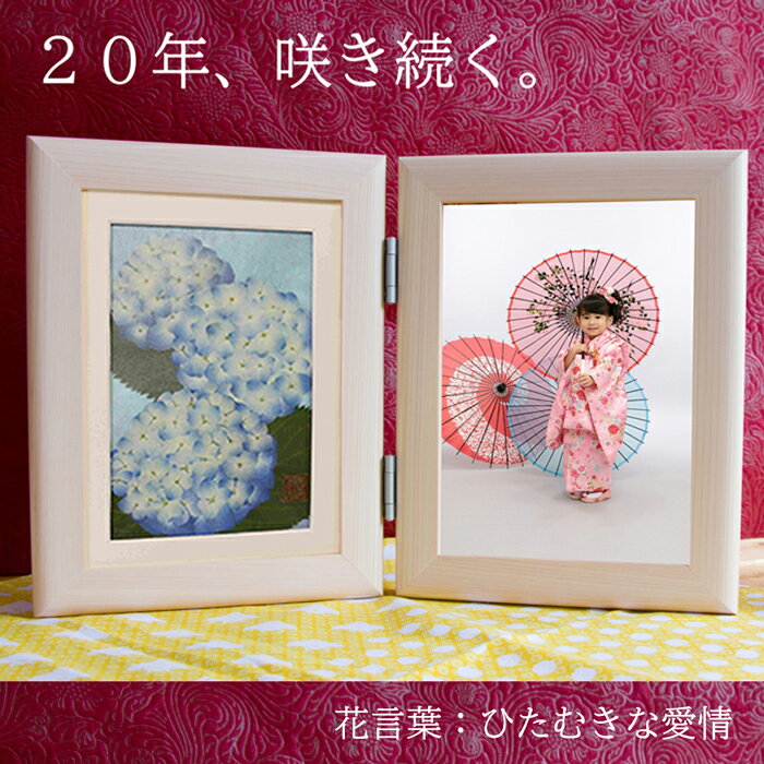 ジャンル押し花 押し花作品 押し花アート 押し花額 押し花額作品 花ギフト 押花 額絵額の材質木製　 写真立て　縦　タイプ 2L 2面(2l 二面) ※置く・壁掛け どちらも可能寸法【額寸法】22cm×34cm (22cm×17cmの額2枚分の写真立て) 【本体重量】約0.6kg作家名庄村昌子(しょうむら・しょうこ)略歴上記参照メディア2013年 NHKラジオ深夜便「明日へのことば」出演等ご注意事項としてのお願い日当たりの良い場所は避けてください。 絵画等も一緒ですが、直射日光・紫外線により変色することも考えられます。窓から離し、紫外線の当たらないところに飾ってください。(玄関 リビング トイレ 書斎 など)保証通常で変化のある場合は、お知らせくださいませ。長くお楽しみいただける様にサポートさせて頂きます。無料サービス名入れ 花言葉カード メッセージカード メッセージ 代筆 ラッピング 熨斗 送料無料(全国どこでも・全商品) お写真を入れてのギフト発送をご希望の方は、下記メールアドレスにお写真データをお送りくださいませ。 Email: shouko@shop.rakuten.co.jp (山内)注文方法買い物かごに入れ、備考欄に必要事項を記入してご注文確定。よくわからない・電話で教えてほしいなど場合はその旨をご記入頂きご注文くださいませ。ご注文後打ち合わせさせて頂きます納期通常は翌日発送ですが、お写真を入れての発送の場合、2〜3日頂く場合がございます。お了承下さいませ。配送宅急便(ヤマト運輸でお届け致します)。日時指定可。納品書・領収書についてお届け先様が『ご注文者様以外』の場合、お値段の分かるものは同封致しませんので、ギフトにも安心してご利用いただけます。納品書等は後日ご注文者様へお届け致します。領収書が必要な方は、備考欄にご記入くださいませ。製造国日本製(神奈川県川崎市より出荷)販売者 (連絡先)有限会社　美宝エンタープライズ 押し花アート庄村昌子の世界 代表者:山内 昌子 店舗運営責任者:山内 真実 店舗セキュリティ責任者:山内　 真実 店舗連絡先:shouko@shop.rakuten.co.jp 電話番号：044-798-3223 ※10：00から17：00まで ※当店は5年目を迎えました。ご注文・問い合わせ・発送などすべて山内が行います。疑問点・ご要望等ございましたらお気軽に山内までご連絡くださいませ。作品名：『紫陽花 縦（白額） 』開花時期：5月頃 花言葉：ひたむきな愛情 販売価格：10,000円(送料無料・税込) ※額込みのお値段です。 【額サイズ】218mm×336mm×18mm 【額の材質】ヒノキ ※額は、きめ細やかで温かみのある手触り感の『ヒノキ』の額を使用しております。 ”自然そのものの美しさ”を表現した押し花作品のフォトフレームです。花も葉っぱも蕾もすべて本物です。1600坪の農園をもち、花を育て、独自の方法で真空状態にして作品をつくりあげる事で、20年以上も綺麗に咲き続ける押し花を確立致しました。 作品をよく見てみると、薄く絵のように見えるところがございますが、これは絵ではございません。本物の枝や葉っぱ、お花が入っております。薄い素材の後ろにもう1つ作品を重ねる事で、自然に咲いているような遠近感のある作品を作り上げております。 最後に、ガラスを載せて真空状態にして仕上げております。作品の中には接着材など化学物質は使いません。茎、葉っぱ、お花をそれぞれ額の中で咲かせていき、最後にガラスを載せ、周りを接着して真空の状態にすることで形をとどめております。植物が入っている空間には、とにかく自然の状態にこだわります。 『いつもありがとう』『元気でいてね』などの気持ちとともに 大切な方のもとで、ずっと綺麗に咲き続けます。【インテリアの様子】 壁にもかけられる2WAYタイプです。 写真サイズは2Lサイズ(178×127mm)、Lサイズ(127×89mm)どちらでも対応可能。 Lサイズを入れられる場合は、中に入っている枠をご利用下さいませ。※2Lサイズのお写真で注文されたお客様でも、ご自分で中に入っている枠を使ってLサイズのお写真を入れる事も可能です ※お写真を送っていただく際、2LサイズかLサイズかお知らせくださいませ。 ※額の裏の文字入れをご希望の方は、ご注文の際、備考欄にご記入下さいませ。 ※ご希望の方は、ご注文の際に【ラッピング(リボン袋を希望)】をお選び下さいませ。 【紫陽花の開花の様子】 (開花時期：5月頃) 紫陽花の花言葉：ひたむきな愛情 ほのかでやわらかい花の色合いと、深い緑の葉が美しい雨の季節を代表する紫陽花の花。梅雨末期の頃に満開となり、雨に非常に似合うその姿が 日本の情緒を思い起こさせてくれますね。花言葉は『ひたむきな愛情』。花も葉っぱも色を染めることなく、心を込めて額に入れた押し花作品です。 【花言葉カードをお入れ致します。】 作品にはそれぞれのお花の花言葉カードをお入れ致します。その他、下記の資料も同梱致します。 ・押し花作家庄村昌子のプロフィール ・庄村昌子の押し花とは ・飾るときのご注意事項 ※ギフト直接発送も承っております。※作品の中には、お値段のわかるものは一切入りませんのでご安心くださいませ。