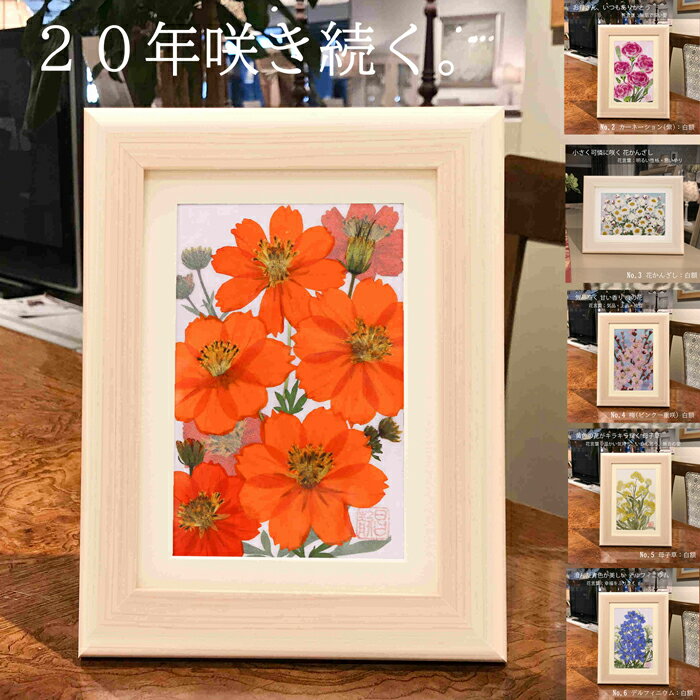 ■20年咲き続く押し花■ 米寿飾り付け品 米寿 ...の商品画像