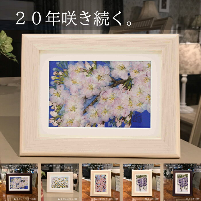 ■20年咲き続く押し花■ 押し花 アート | 押し花アート 祖母 プレゼント ギフト プリザーブドフラワー 額縁 絵 誕生日 母 誕生日プレゼント 壁掛け 花 女性 お祝い 祝い 母親 退職 明日 傘寿祝 百 寿 結婚記念日プレゼント 花婚式 50代 退職プレゼント 退院祝い