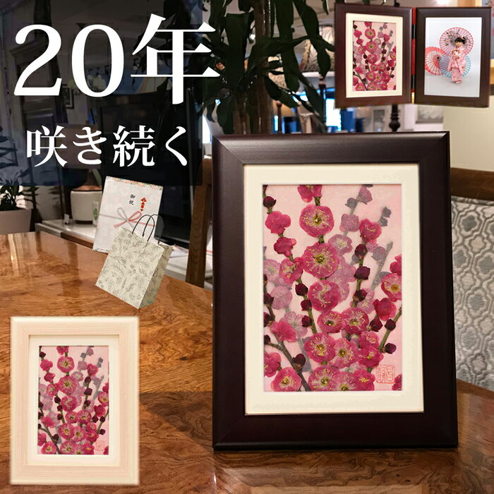 『ずっと咲く。この想い』梅 赤八重咲 (花言葉：気品・上品・独立)■押し花 祝電 御礼★ブリザートフラワ..