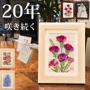母の日 花 ギフト★プリザーブドフラワ- 誕生日 ドライフラワー 額 お花 フレーム ドライフラワー メッセージ 母 誕生日プレゼント 70代 年配 女性 プレゼント 絵画 お祝い 母親 母誕生日 30歳女性 85 歳 80代 20歳 ママ 48歳 妻 母の誕生日 長持ちする花 誕プレ 花(4)
