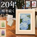 枯れない花 hana 花 ★ 三寿お祝い花 | 誕生日プレゼント 喜寿 祝い 喜寿祝い 77歳 母 70代 祖母 プレゼント プリザーブドフラワー 誕生日の置物 壁掛け プリザーブドフラワー壁掛け 花 退院 祝い の お祝い 絵 母親誕生日プレゼント 置物 花の絵 退院祝い 名入れ 開院(4)