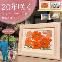 祖母 プレゼント 90代 誕生日プレゼント 女性 70歳 85 歳 お祝い プレゼント 押し花押し花アート 古希 70 代 女性 の 退職祝 祖母 誕生 日 8...