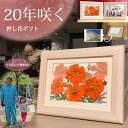 10周年 お祝い プレゼント 米寿のお祝い 誕生日プレゼント 80代 女性 70 代 誕生日 70歳 祖母 プレゼント 90代 85 歳 押し花アート 古希 女...