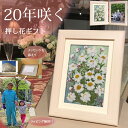 \20年咲き続く/ 驚き 押し花 ! フォトフレーム 写真立て 遺影 写真 立て 2l 2面 2枚 おしゃれ 写真入りプレゼント フォト 祖母 プレゼント 誕生...