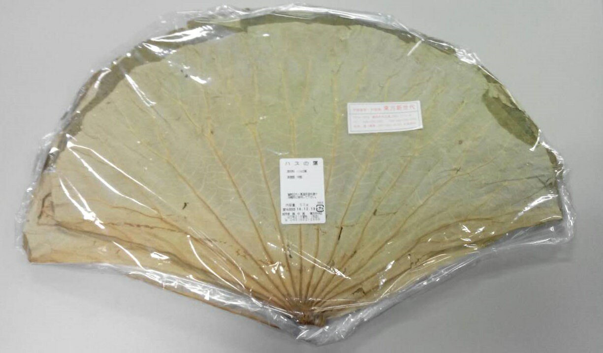 横浜中華街　蓮の葉（ハスの葉）約50g、約3〜4枚入り（長：50cm、寛：32cm、＊天然素材なので、サイズはあくまで目安…