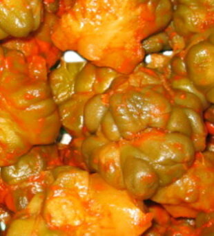 ������ڳ�������������������������ۡ���������ˡ�1�����������ڡ������ʪ����ڿ����