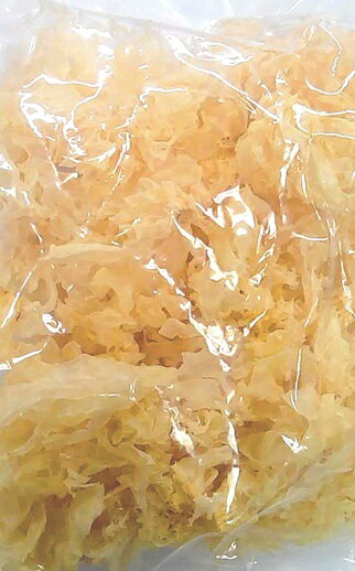 横浜中華街　白きくらげ（白木耳）銀耳　1000g　カルシウムや食物繊維が豊富、不老長寿の食材として、中華料理、デザートに使われています♪