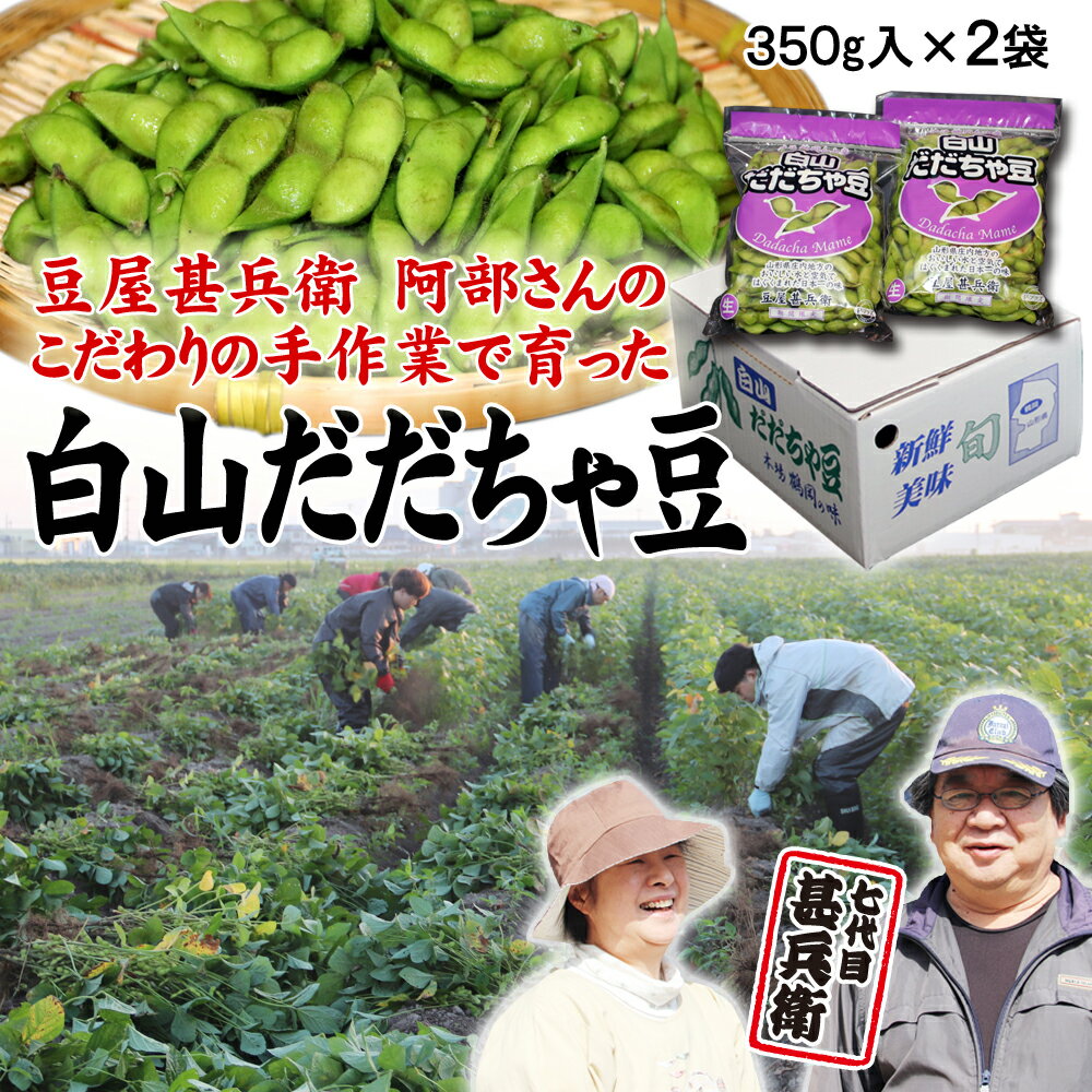 【朝採りを農家から直送！】手作業にこだわる、高級品種 白山 だだちゃ豆（山形県鶴岡産） 400g入【2袋】 枝豆 えだまめ