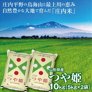 令和5年産 つや姫10kg（5kg×2袋） 山形県の米どころ庄内平野で育った庄内米　送料無料