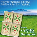 令和5年産 つや姫8kg（2kg×4袋） 山形県の米どころ庄内平野で育った庄内米　送料無料